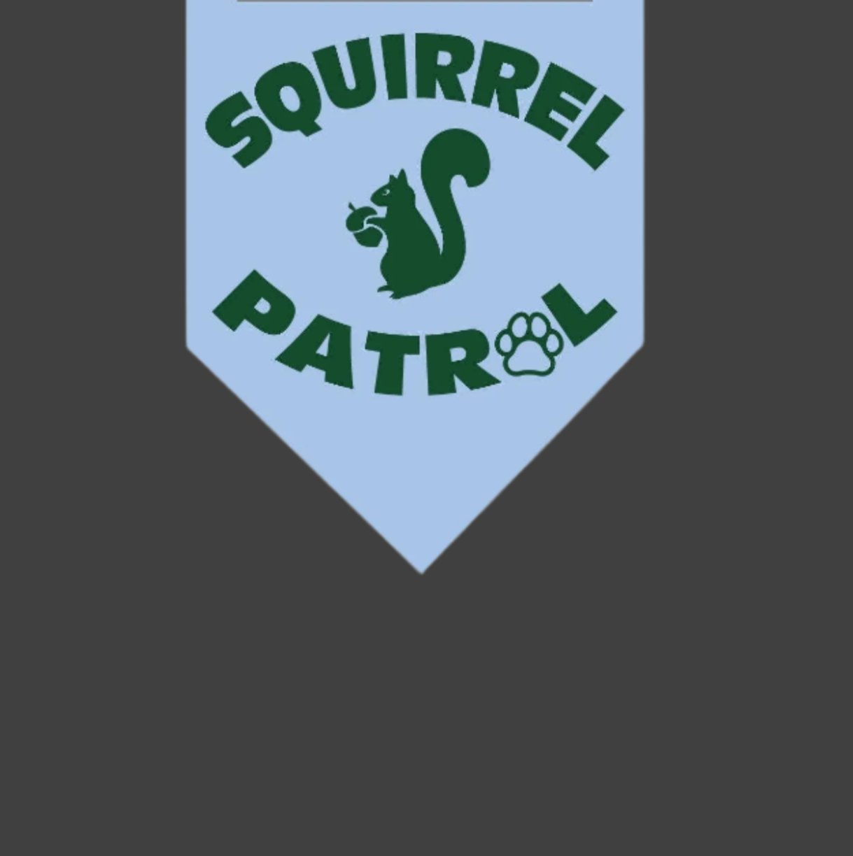 Squirrel Patrol Dog Bandana