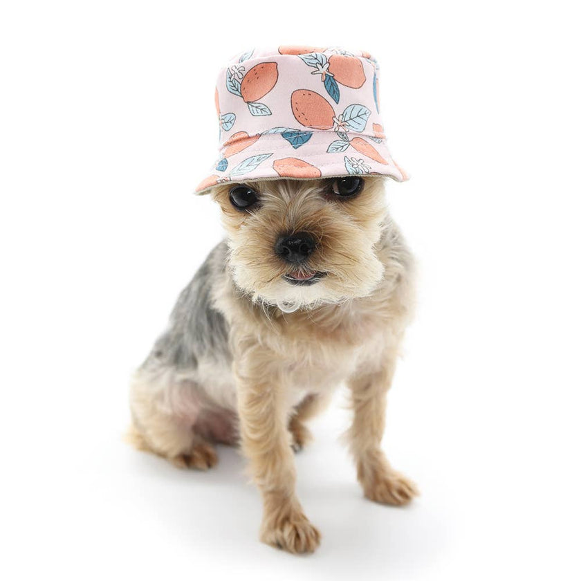 Bucket Pet Hat Lemon Pink