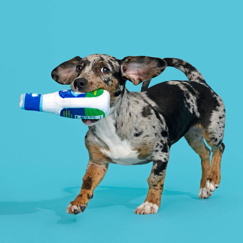 BARK Stinky Valley Ranch Plush Dog Toy S/M