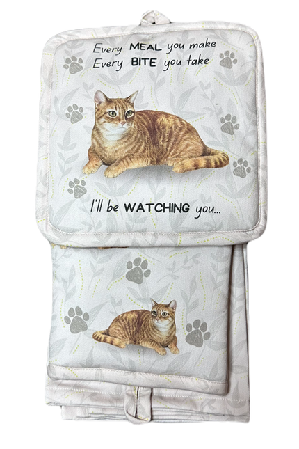 Tabby orange, oven mitt set