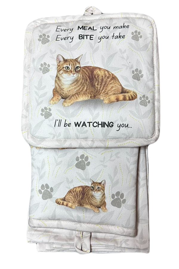 Tabby orange, oven mitt set