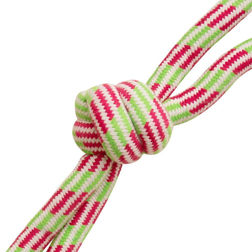 Fling n' Floss Rope Dog Toy