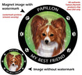 Papillon Red & White My Best Friend Circular Magnet