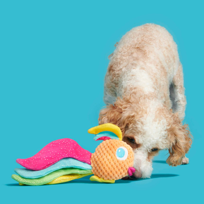 BARK Ahi Tina Plush Dog Toy