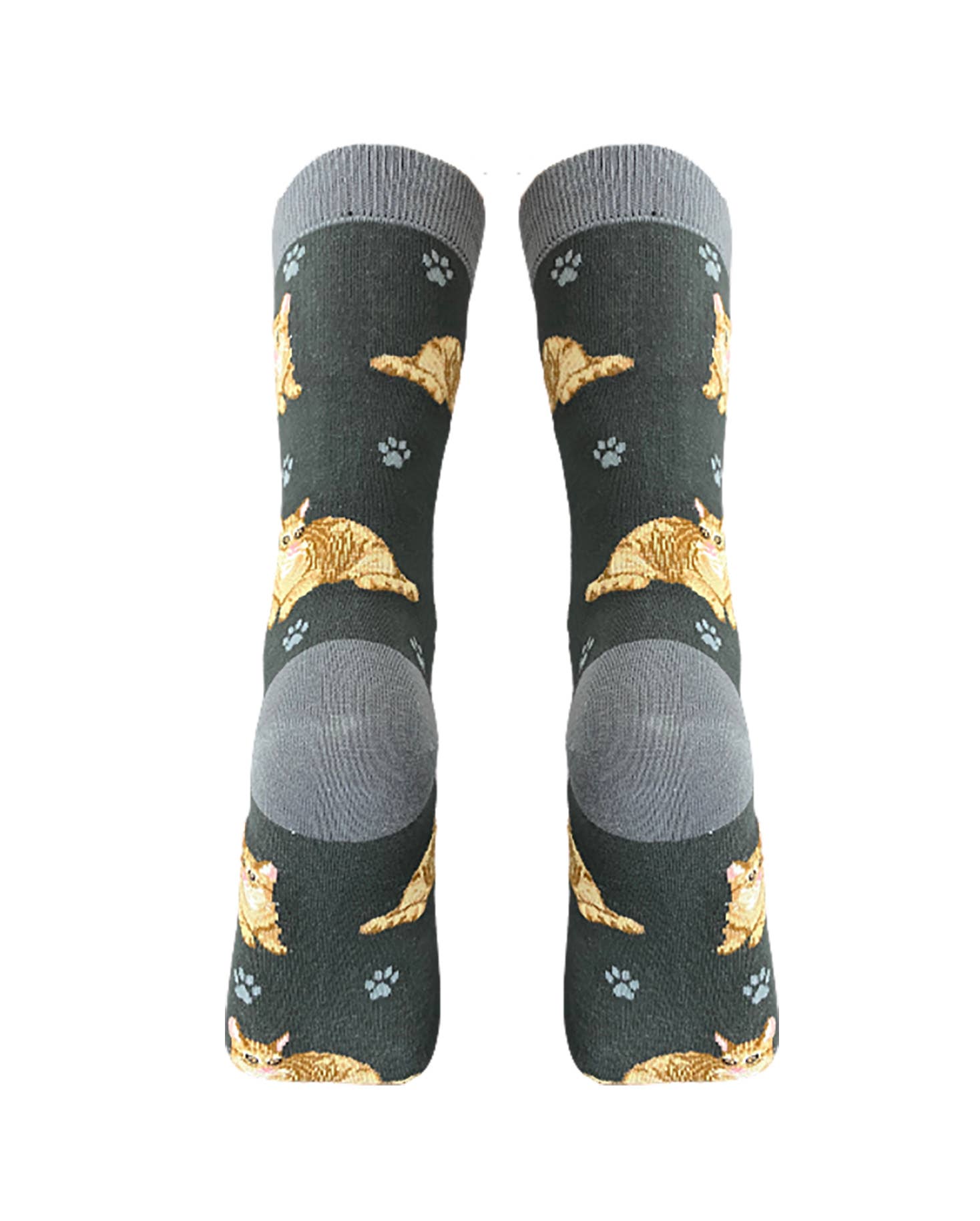 Orange Tabby Cat Socks Unisex