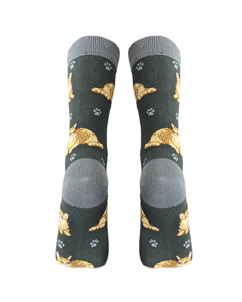 Orange Tabby Cat Socks Unisex