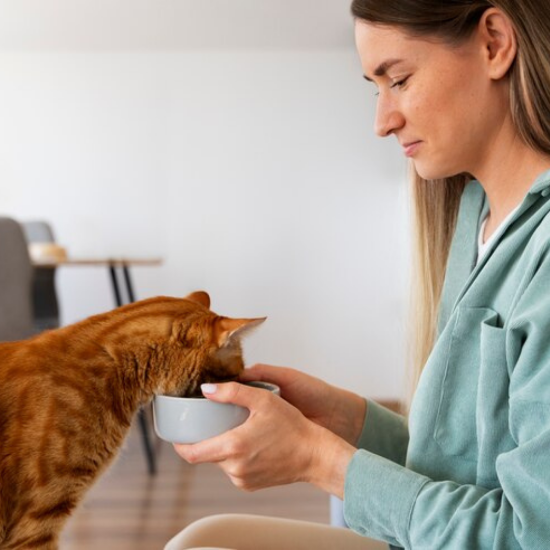 Beef Liver Dehydrated Pet Treats: High-Protein & Vitamin
