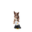 Dog Toy Eagle BARK Bold Eagle Fourth Of July American Plush Dog Toy