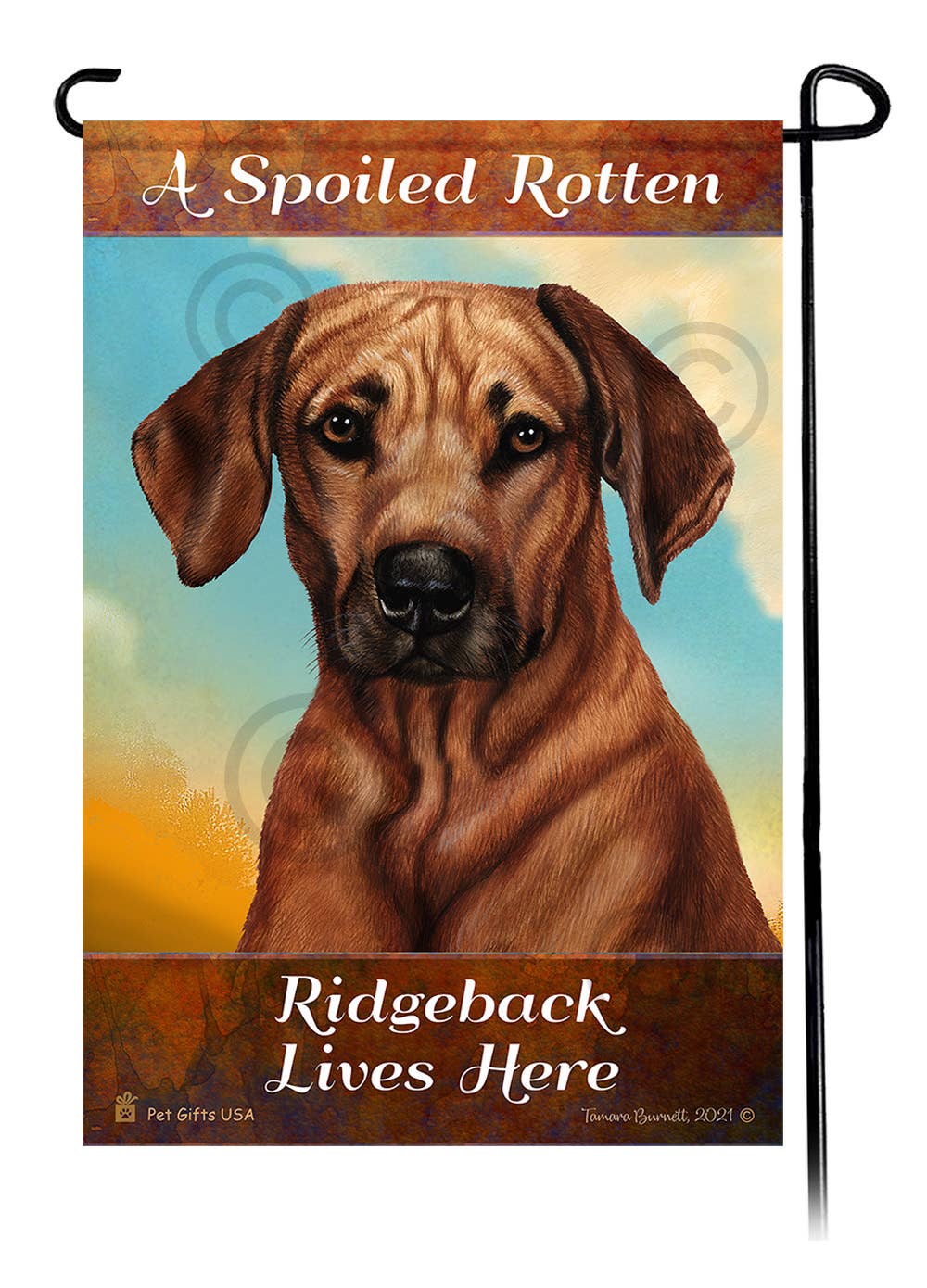 A Spoiled Rotten Rhodesian Ridgeback Lives Here - Garden ...