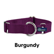 Martingale Nylon Dog Collar