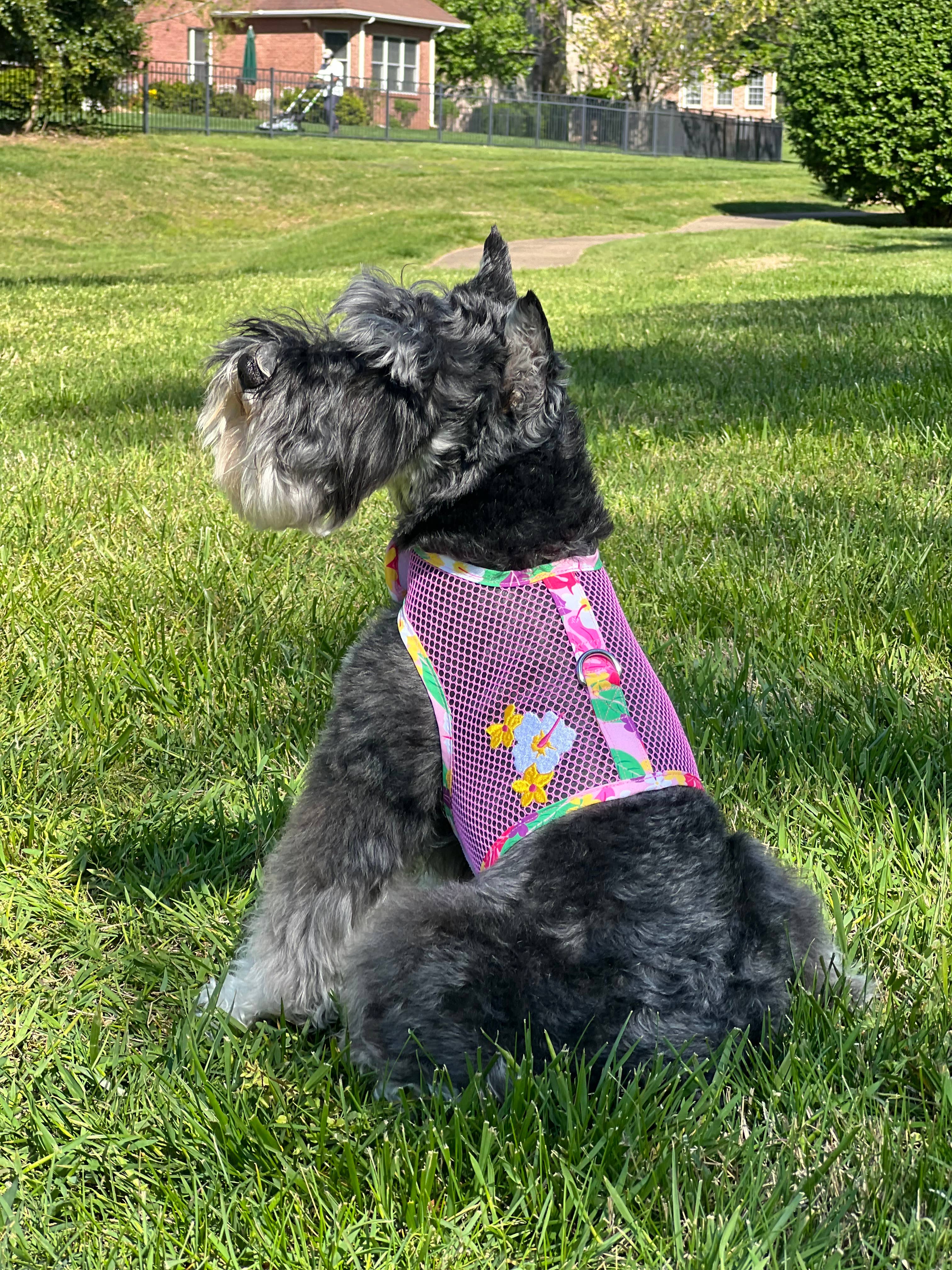 Cool Mesh Dog Harness - Pink Hawaiian Floral