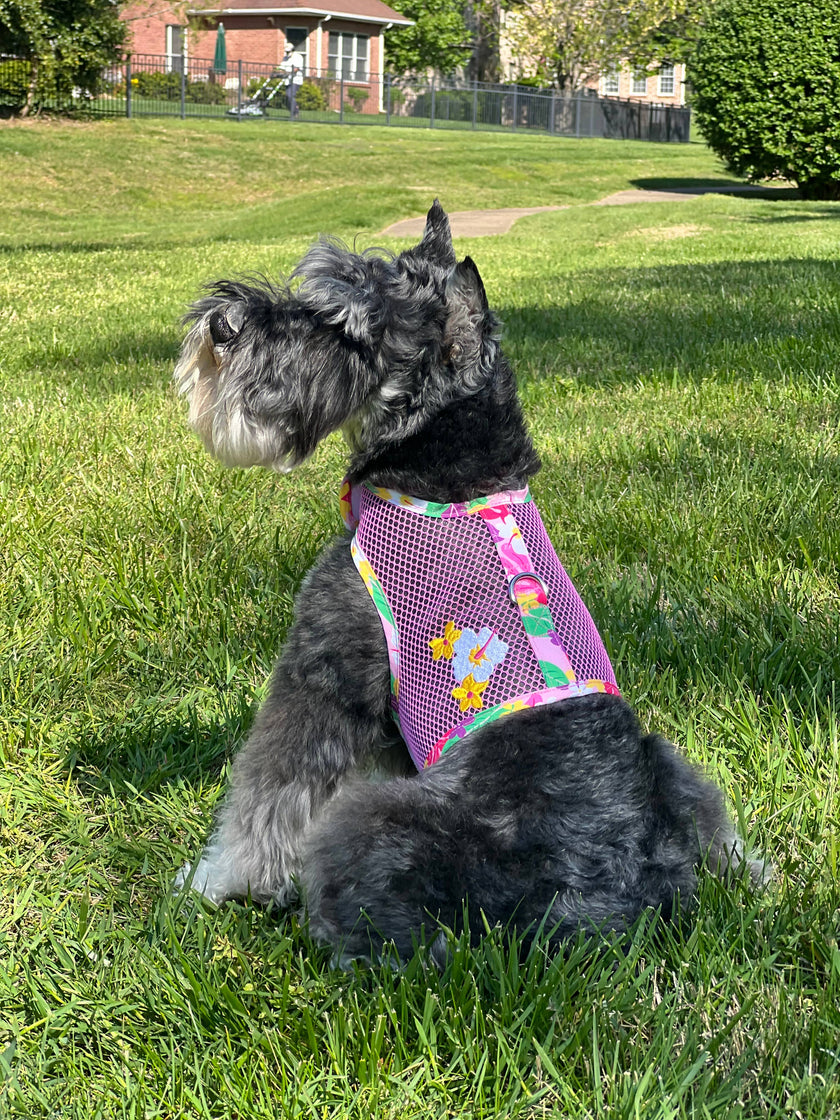 Cool Mesh Dog Harness - Pink Hawaiian Floral