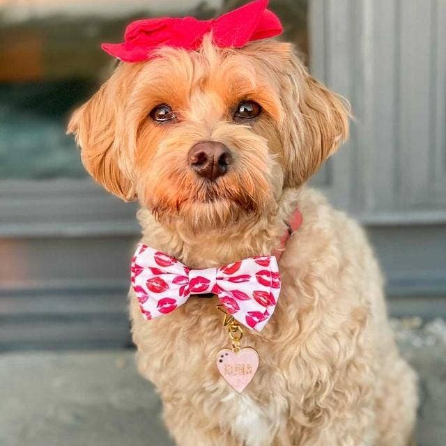 H&K Bow Tie Kisses