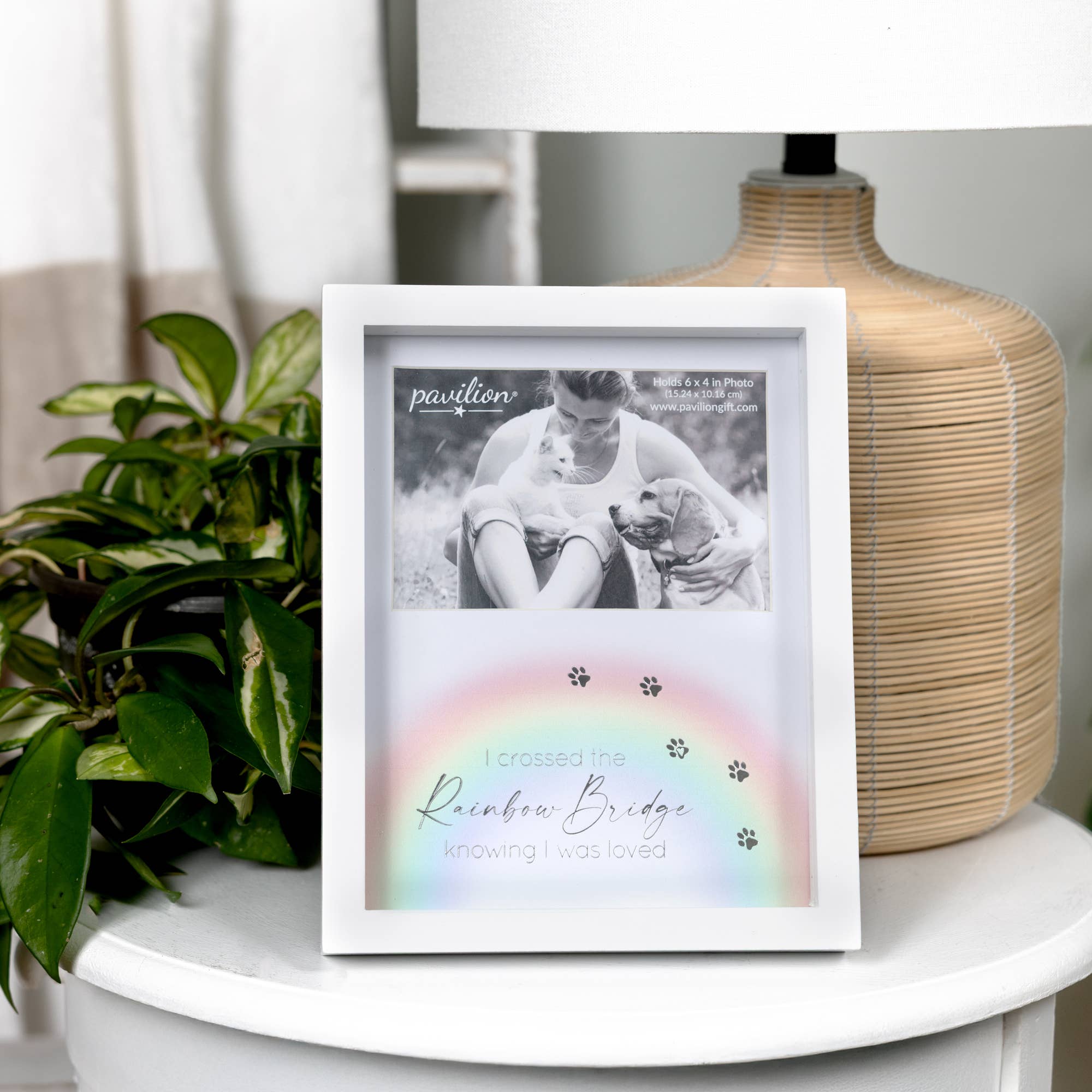 Rainbow Bridge Shadow Box Frame (6