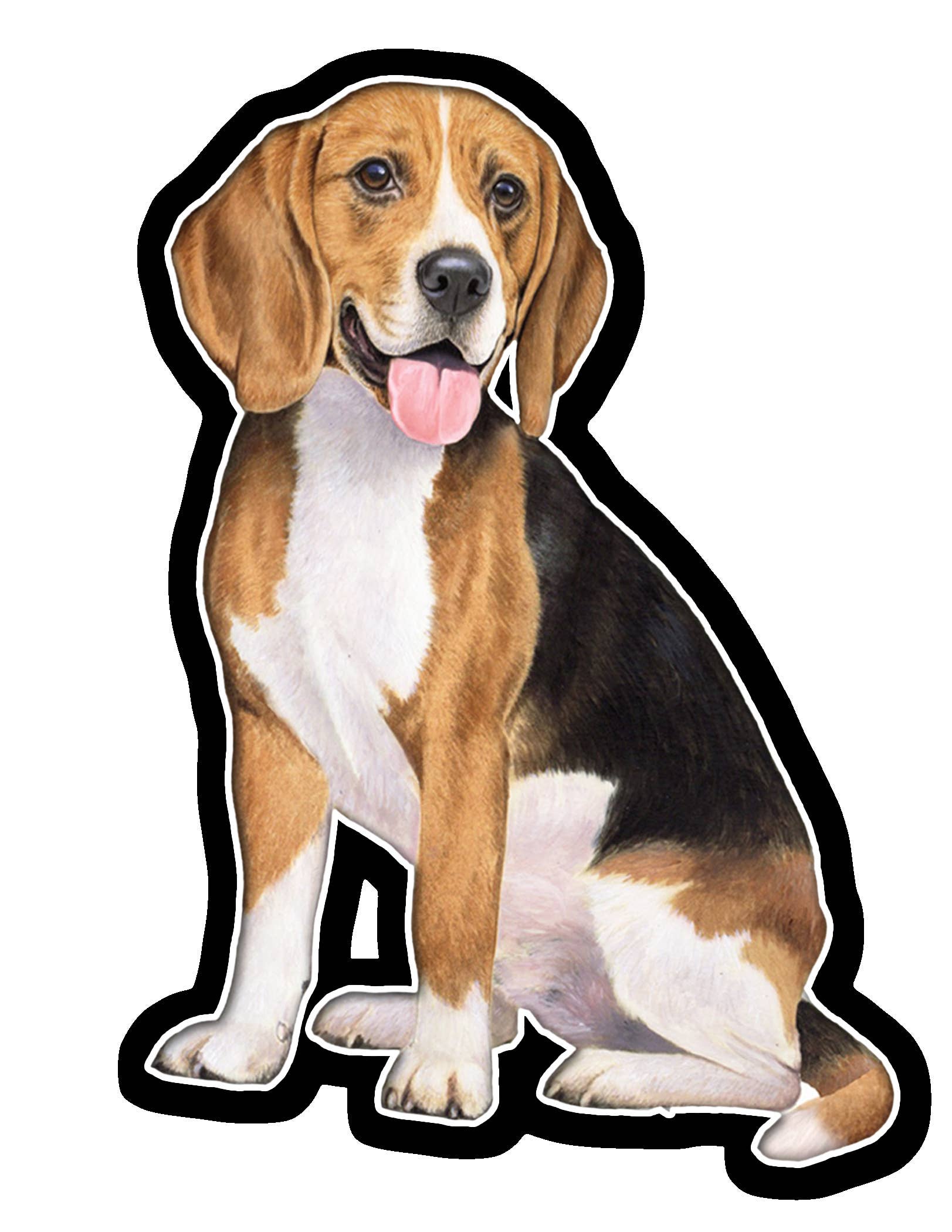 Beagle  - Vinyl Sticker