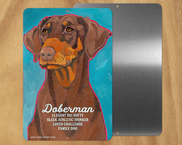 Doberman (Uncropped) -UD Metal Sign