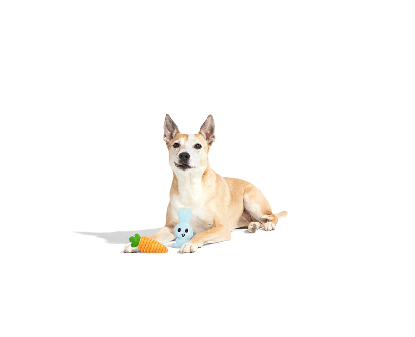 BARK Harriet & Carrot Plush Dog Toy 2PC XS/S