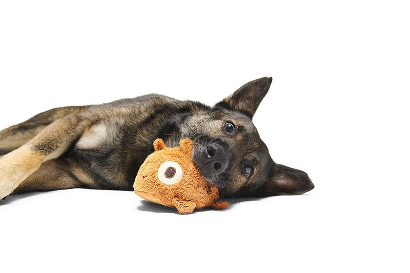 BARK Tinkles The Gerbil Dog Toy