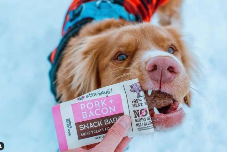 Etta Says! Meat Snack Bar Pork + Bacon Dog Chew 1.5oz- Each