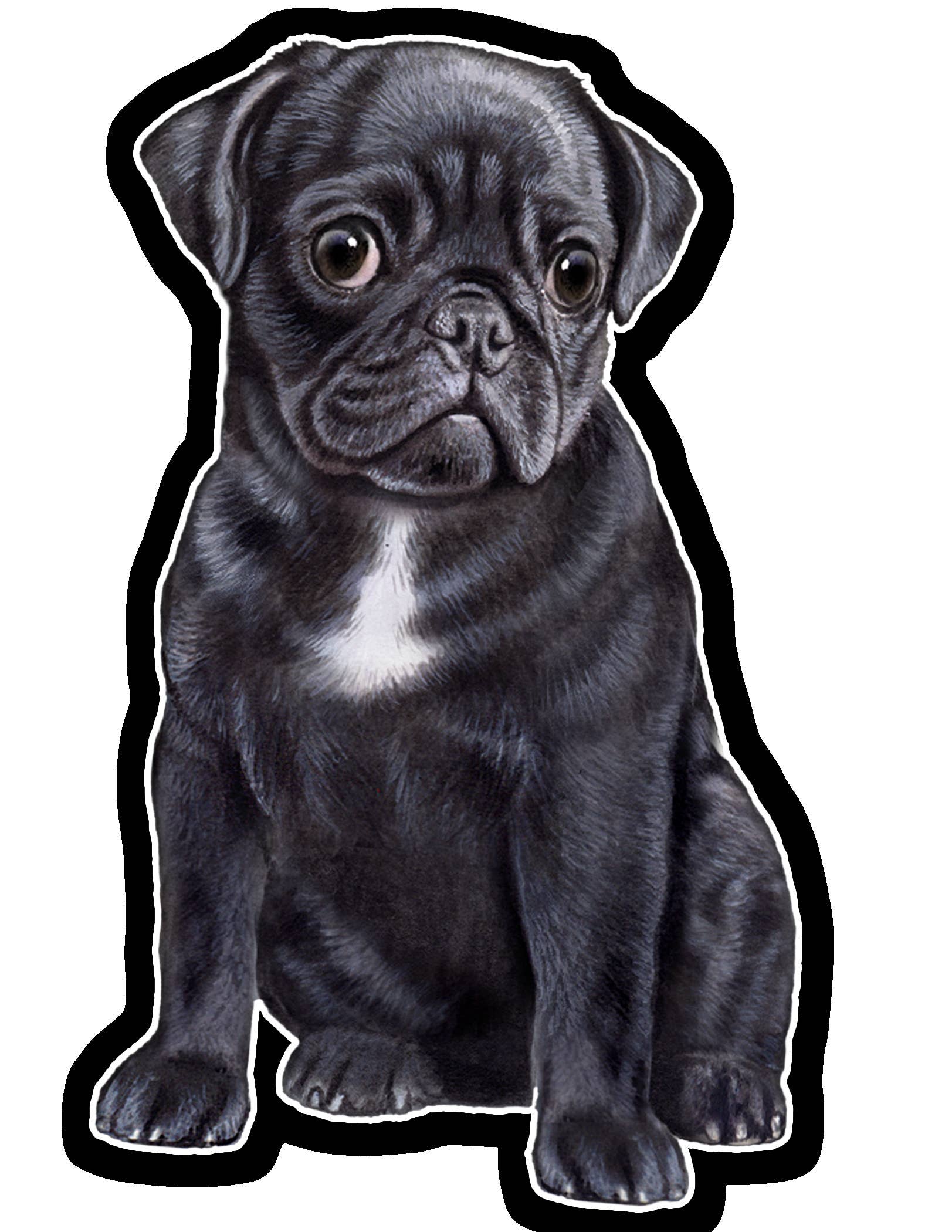 Pug, Black - Vinyl Sticker – Salty Paws