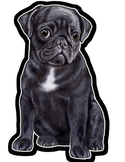 Pug, Black  - Vinyl Sticker