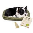 Boston Terrier Perfect Petzzz