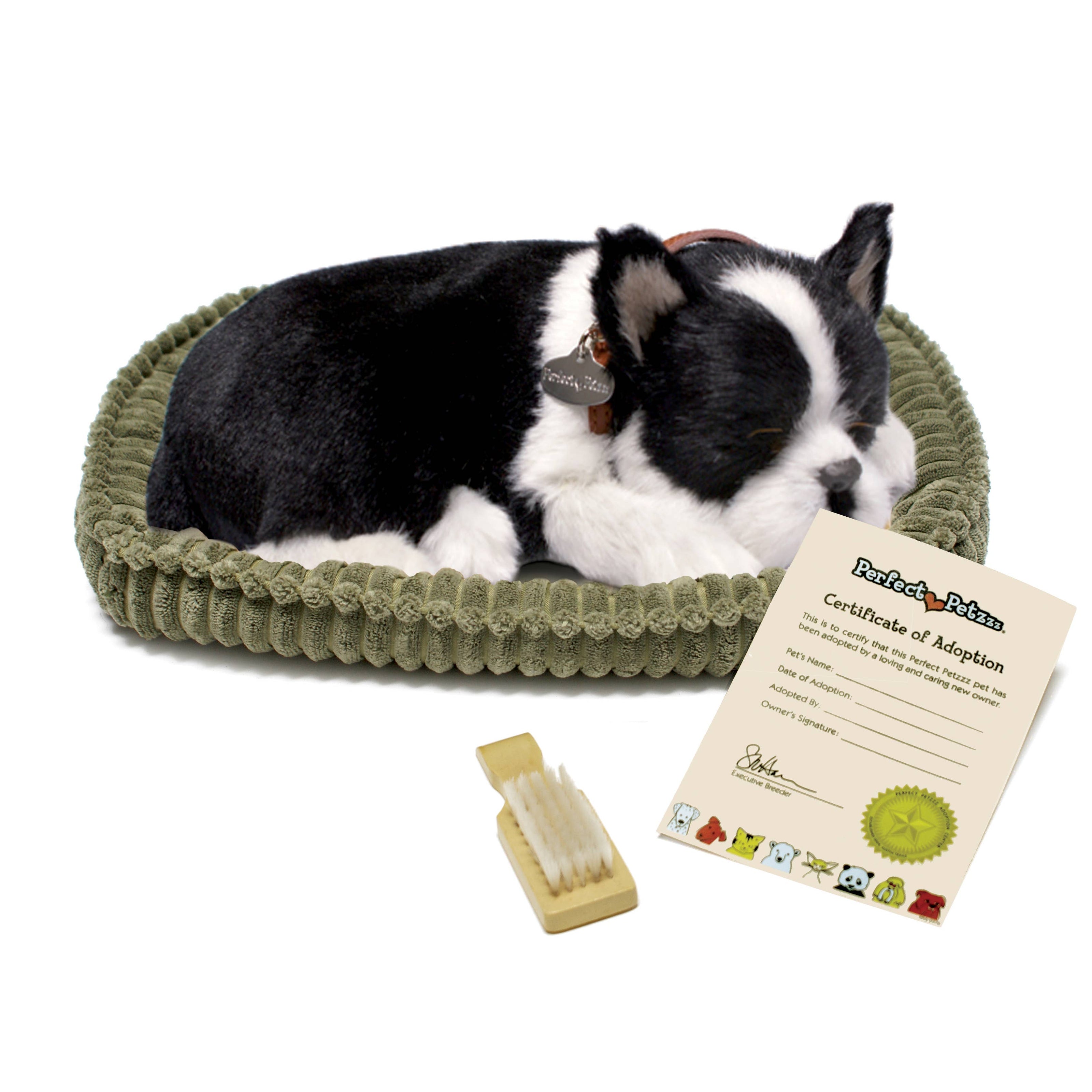 Boston Terrier Perfect Petzzz