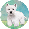 Westie Car Coaster