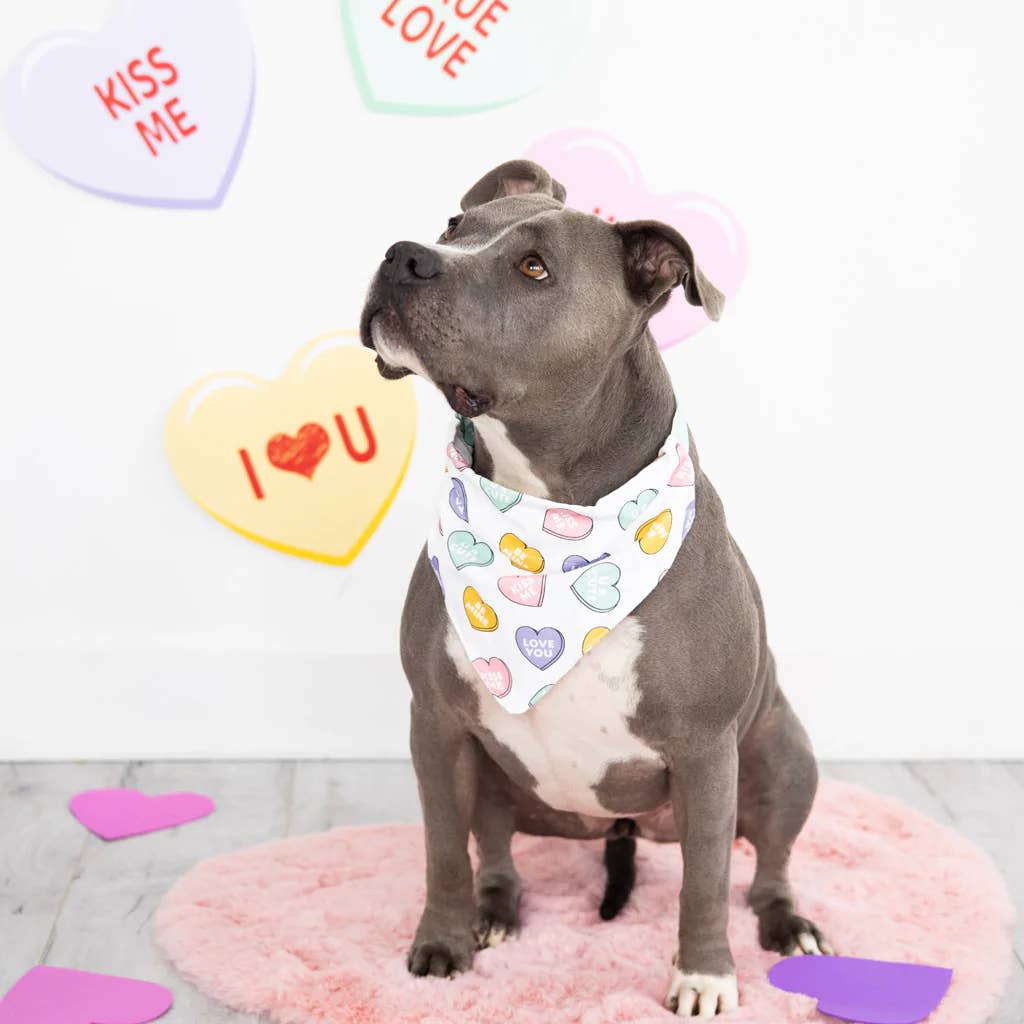 Pearhead Conversation Hearts Dog Bandana, M/L