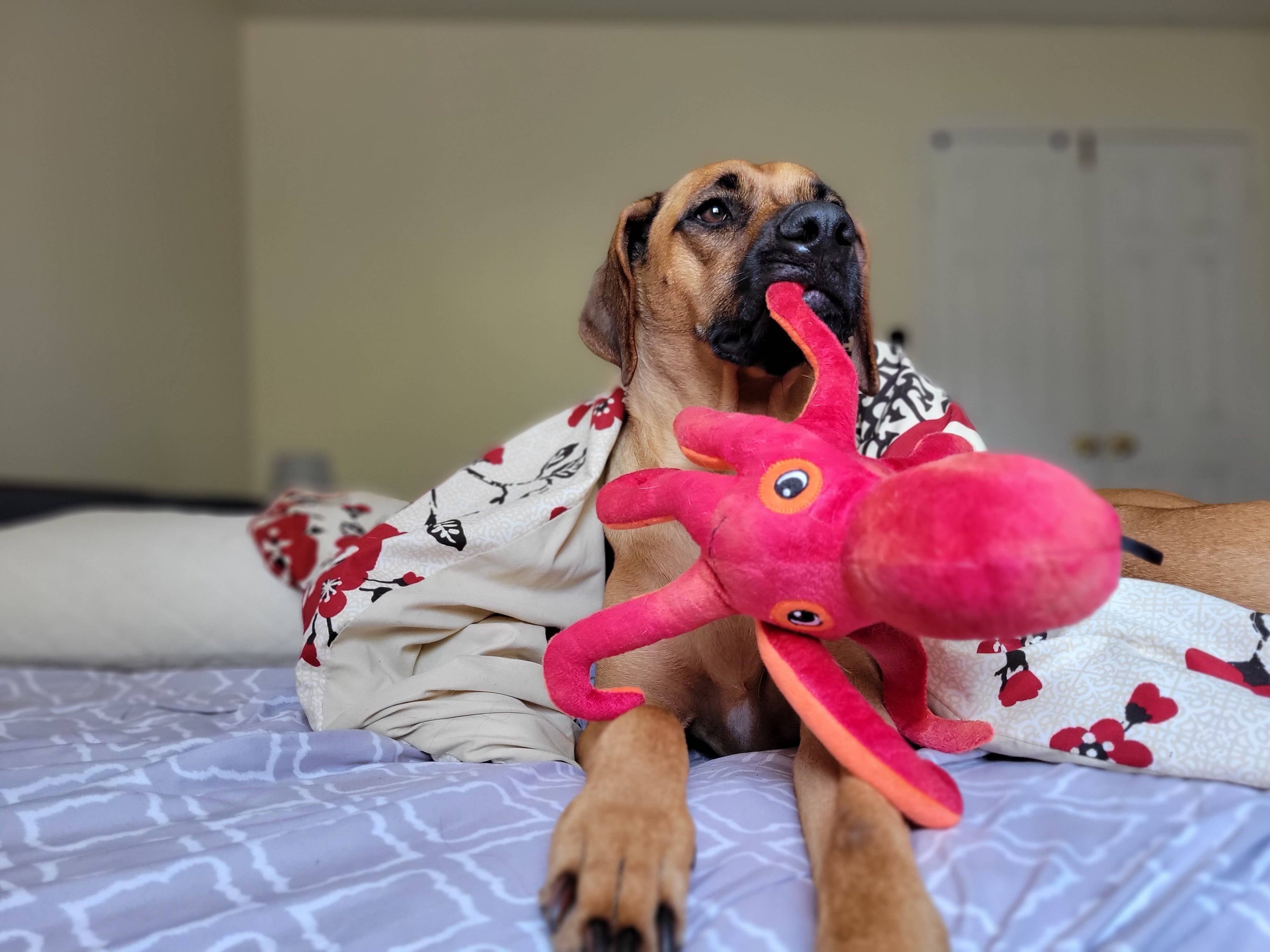 SnugArooz Olivia the Octopus Plush Dog Toy 11