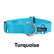 Martingale Nylon Dog Collar
