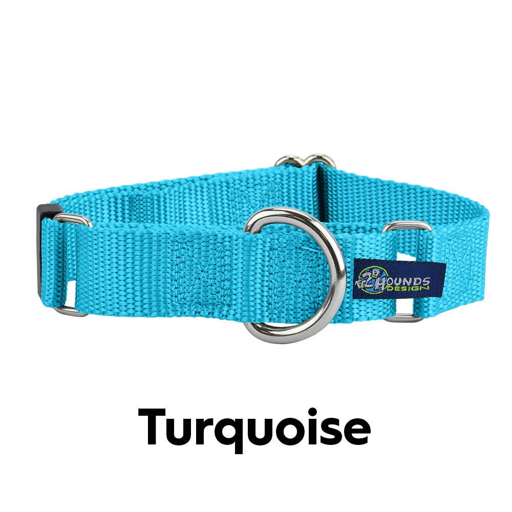 Martingale Nylon Dog Collar