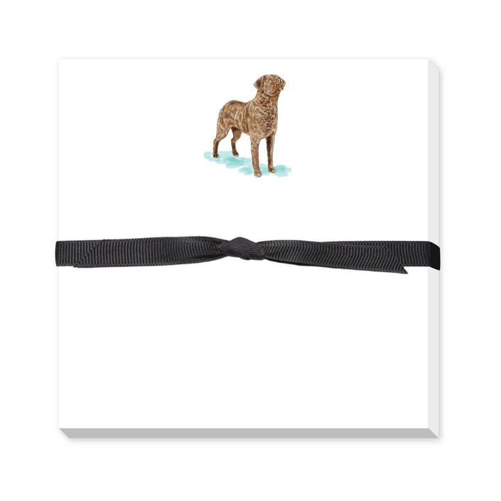 Chesapeake Bay Retriever Memo Notepad