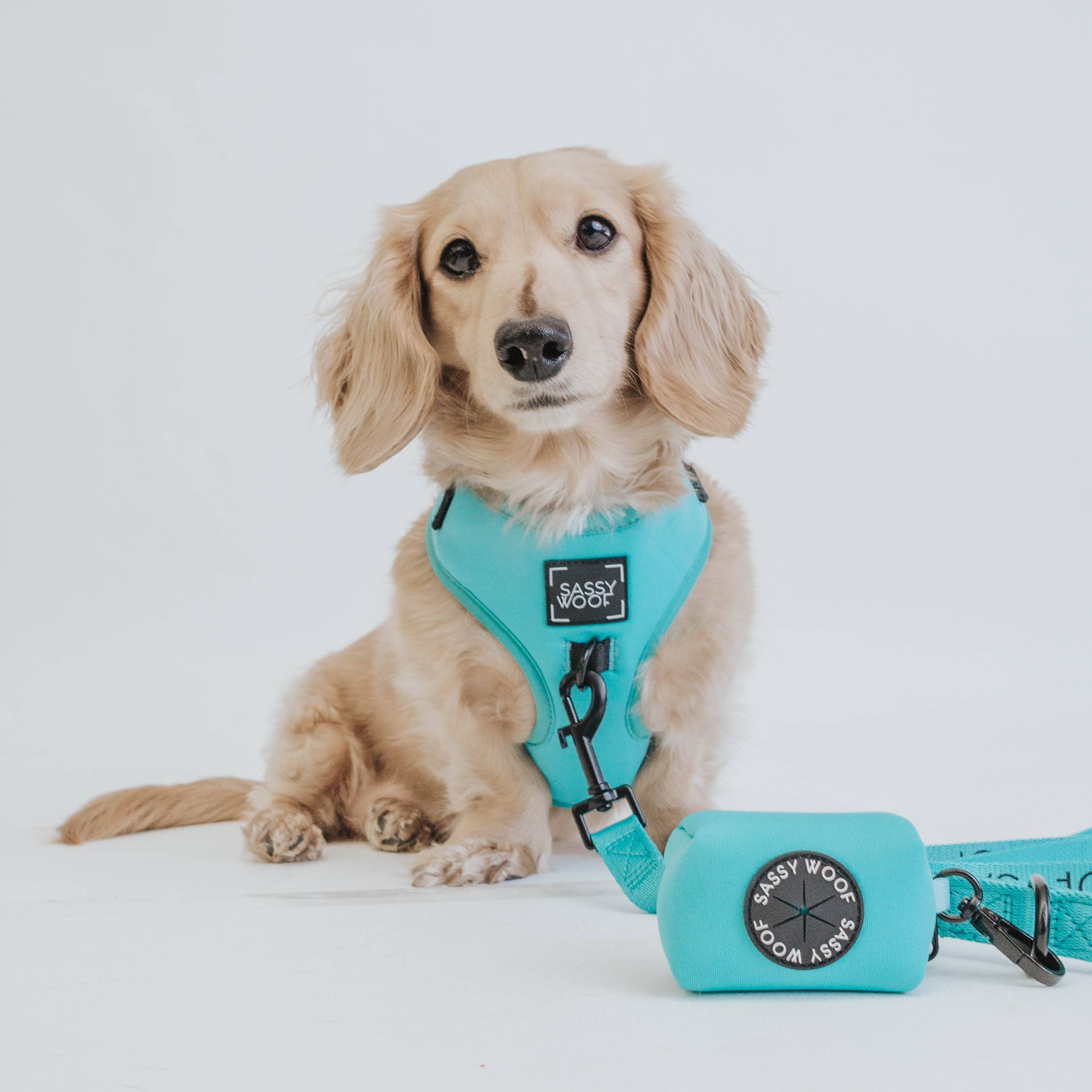 Dog Waste Bag Holder Neon Blue With Clasp