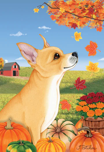 Chihuahua, Tan Garden Flag (Fall)