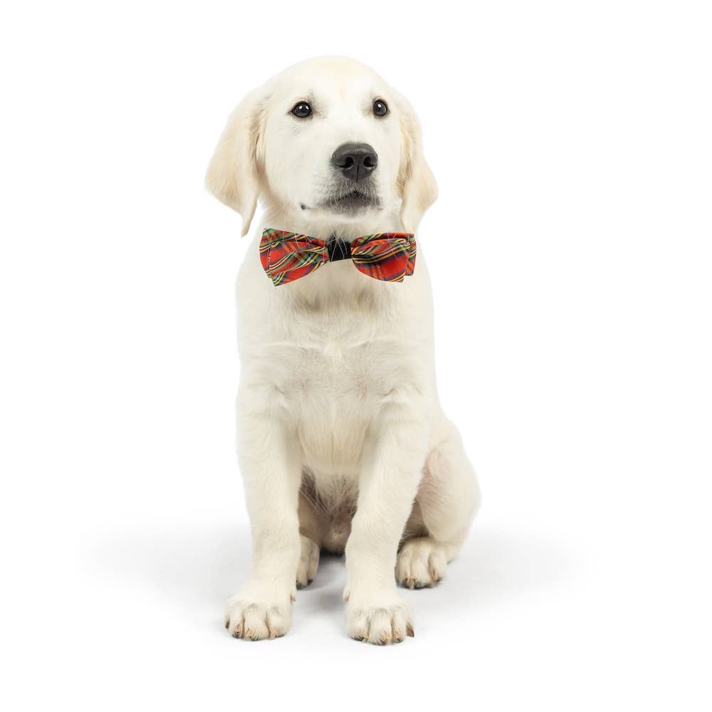 H&K Shiny Christmas Plaid Bow Tie