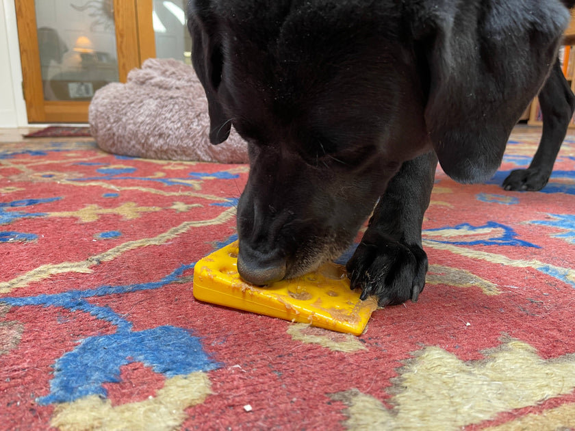 SP Swiss Cheese Wedge Durable Nylon Dog Chew Toy for Aggressive Chewers