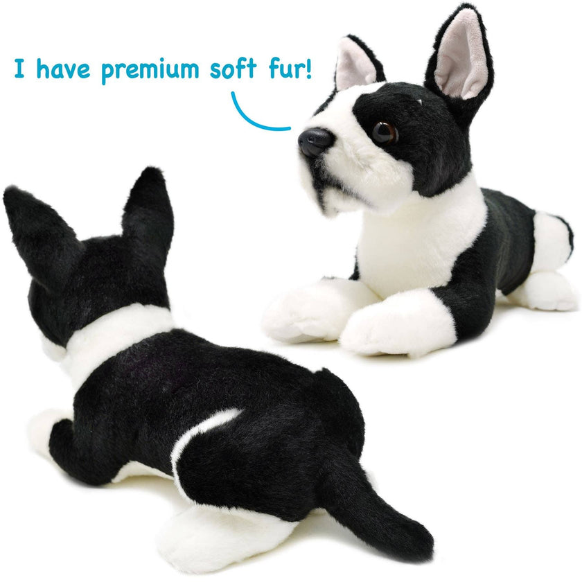 Plush Boston Terrier Baxter The Boston Terrier Stuffed Animal Plush