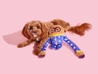 BARK Slow Jams Dan Plush Dog Toy