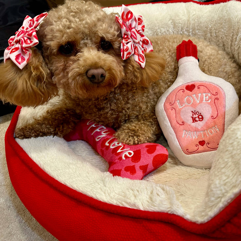 H&K Pinwheel Kisses