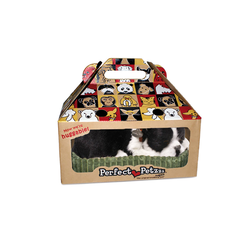 Boston Terrier Perfect Petzzz