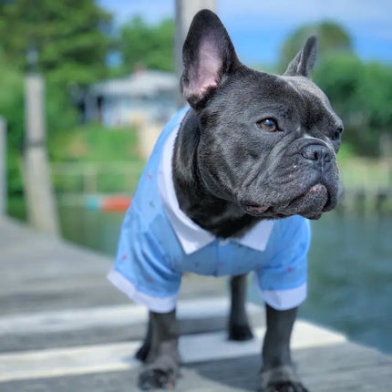 Dog or Cat Pet Anchor Dress-shirt