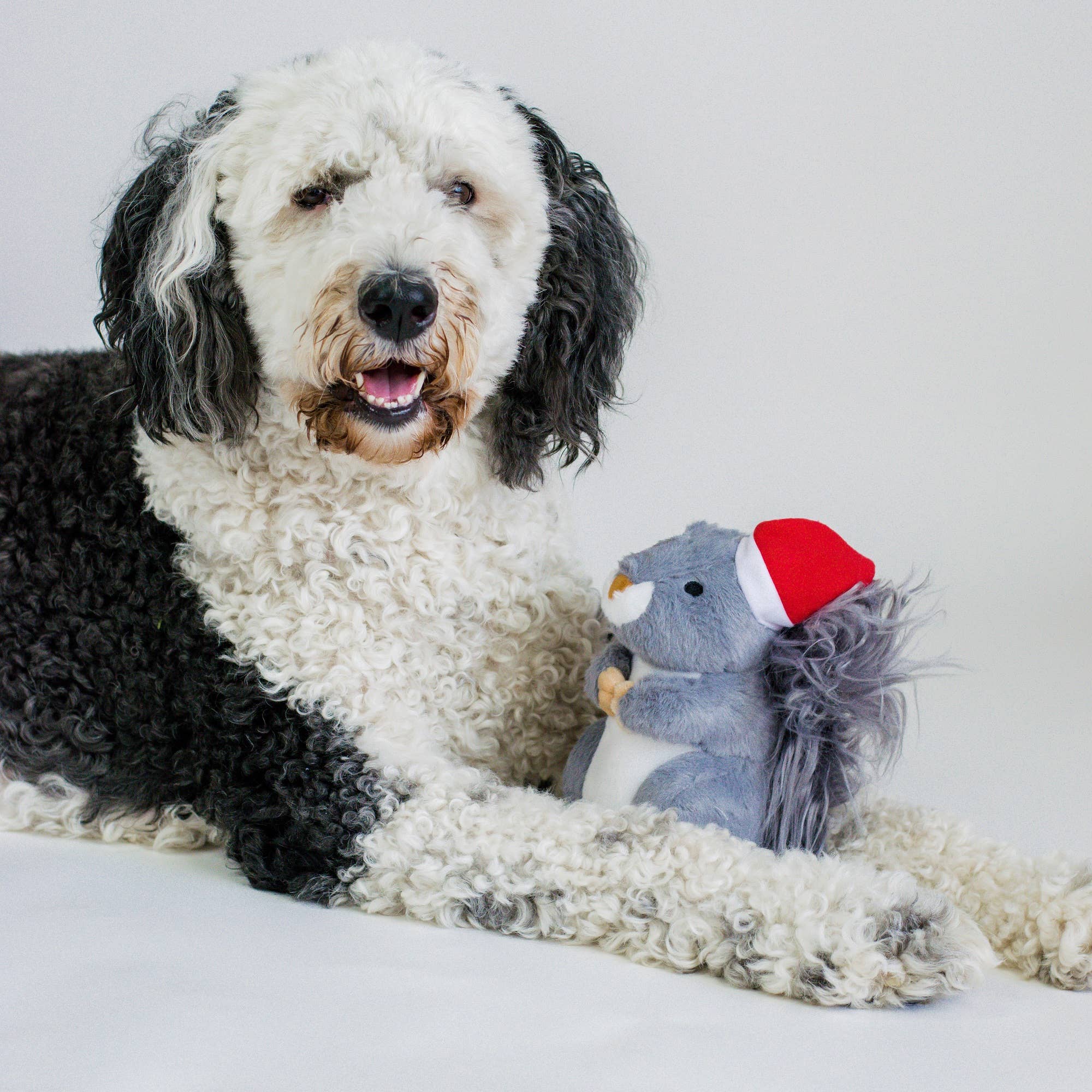 Christmas Squirrel Plush Furry Tail Large Dog Toy