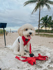 Dog Waste Bag Holder - Merlot
