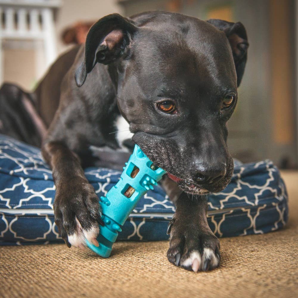 Totally Pooched Chew n' Stuff, Foam Rubber Dog Toy