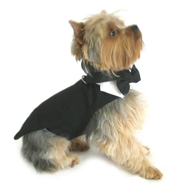 Black Dog Tuxedo W/Tails, Bow Tie, and Collar