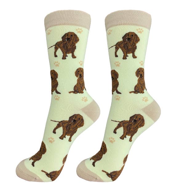 Red Dachshund Dog Socks - Unisex