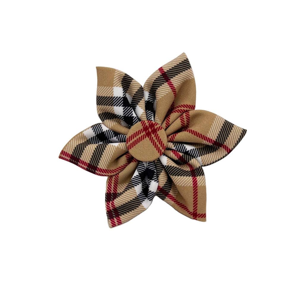 H&K High Street Plaid Pinwheel