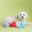 Dog Toy Jellyfish Too Tentacool 3pc Small Dog Plush Toy Set