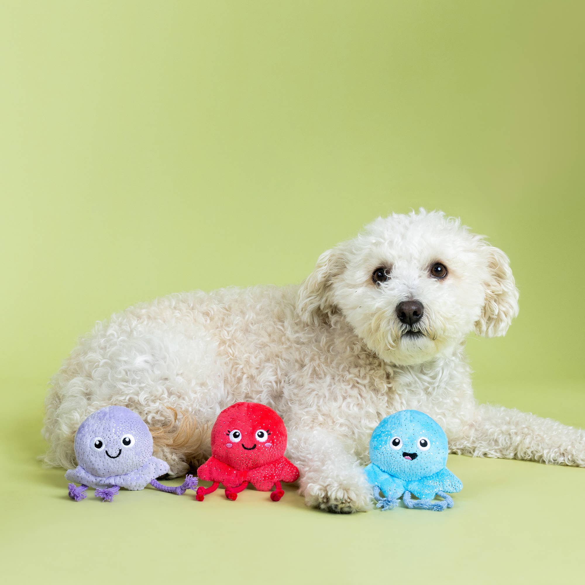 Dog Toy Jellyfish Too Tentacool 3pc Small Dog Plush Toy Set